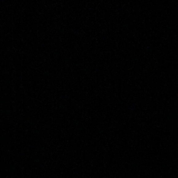 Meet your Posher, Daniela - Picture 1 of 1